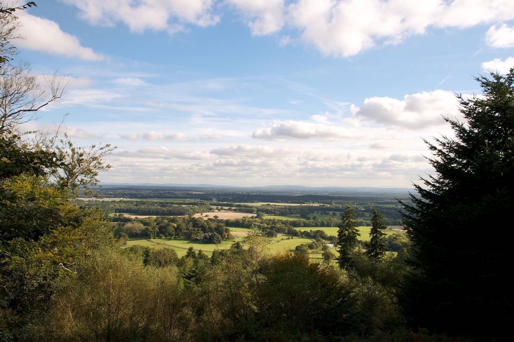 Beautiful view from Hascombe Hill